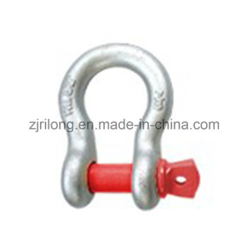 Us Type D Shackle avec Screw Pin 209 Dr-Z0080